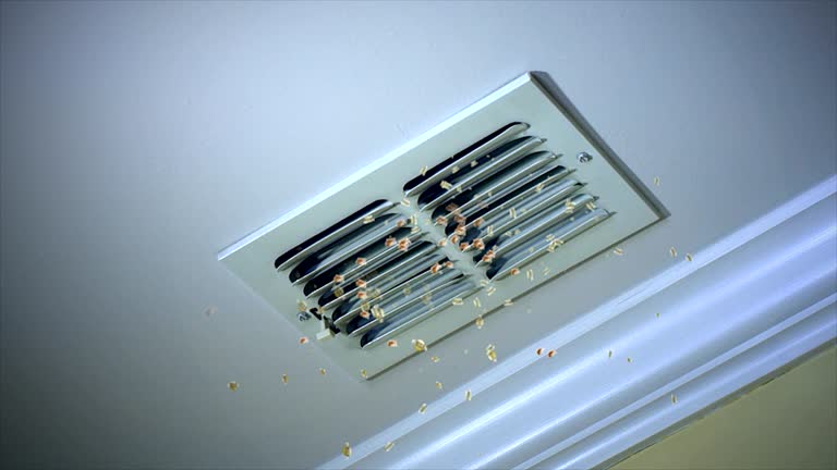 Home Air Vent Cleaning in IN